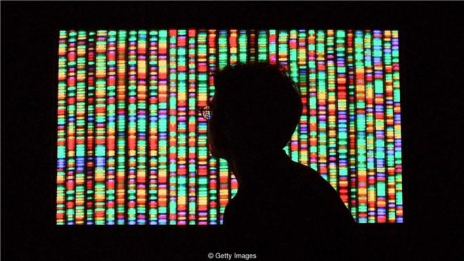 基因塑造了我们的身份，但不是唯一的决定因素（Credit：Getty Images）