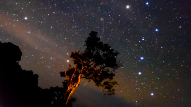 กลุ่มดาวหมีใหญ่และกลุ่มดาวหมีเล็กบนท้องฟ้ายามราตรี