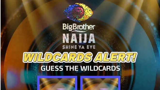 Big Brother Naija wildcard twist