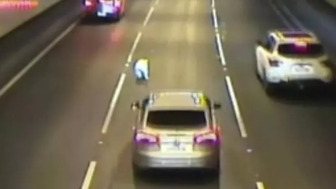 كاميرا مراقبة في نفق للسيارات في مدينة ميلبورن الأسترالية لحظة نزول كلب إلى الطريق. ويظهر الكلب وهو في الطريق وتحاول تفاديه بعض السيارات كي لا تدهسه.