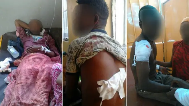 Miidhamtoota keessaa muraasa