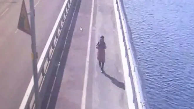 فتاة كورية تحاول الانتحار من فوق أحد الجسور على نهر هان