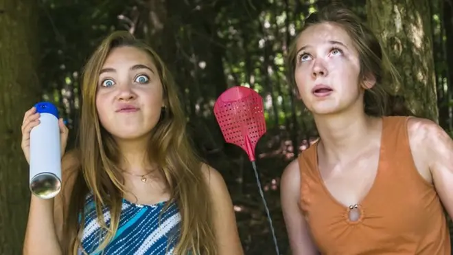 No solo su picadura es molesta, su sonido también lo es.