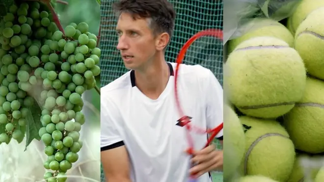 Тенісист Стаховський і його закарпатські вина