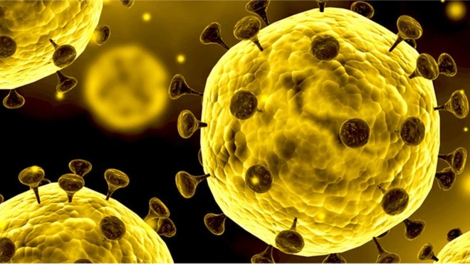 ภาพจำลองโครงสร้างของเชื้อไวรัสโคโรนาโดยทั่วไป ซึ่งขณะนี้มีถึง 7 สายพันธุ์ที่ทำให้เกิดการติดเชื้อในมนุษย์ได้