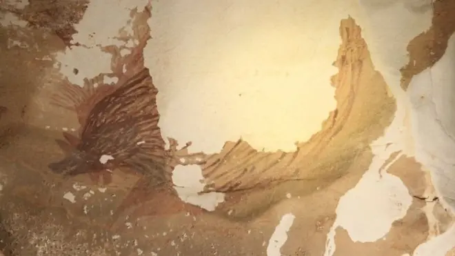 Наскельні малюнки псуються все швидше