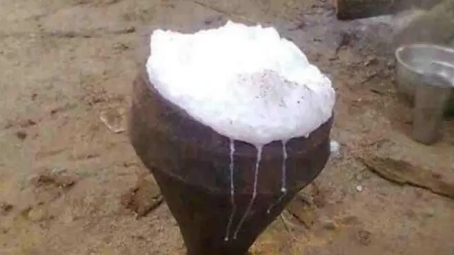 Caanaha geela ayaa wax badan ka tara nafaqo darrada