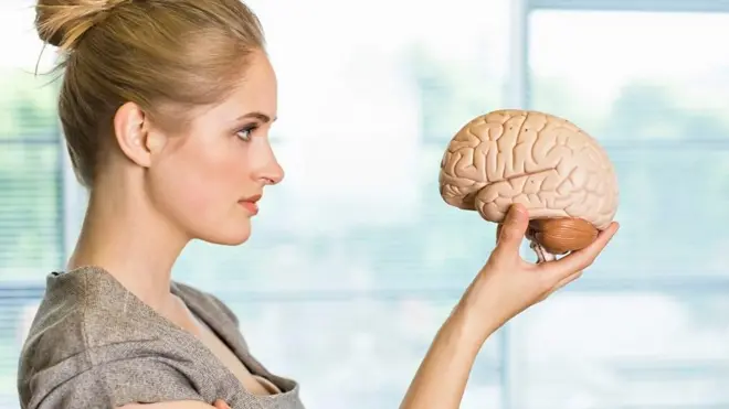 أكبر بنك للأدمغة في العالم