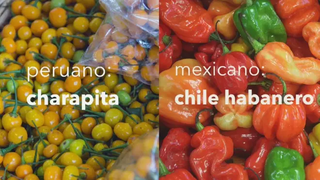 Los chefs Emilio Macías y Yérika Muñoz