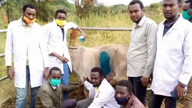 የጤና ባለሙያዎች