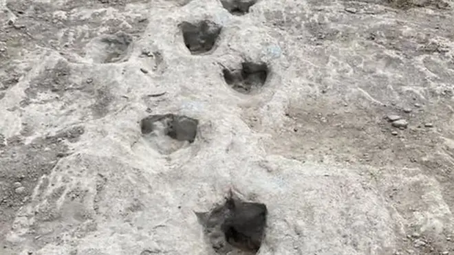 डाइनसोरका पाइला