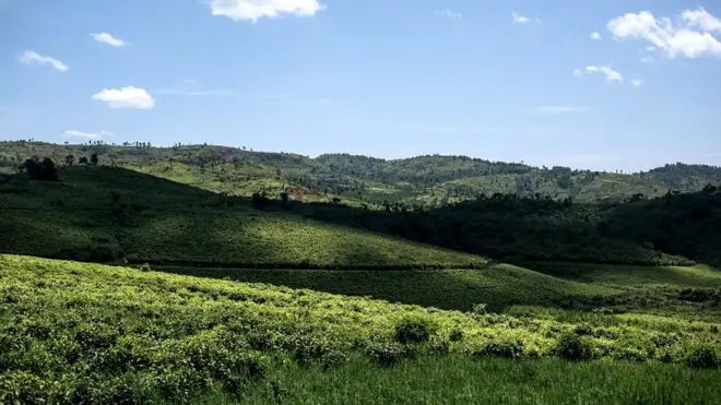 Igisirikare cya Kongo, FARDC, kiregwa "kwiba inka" Masisi