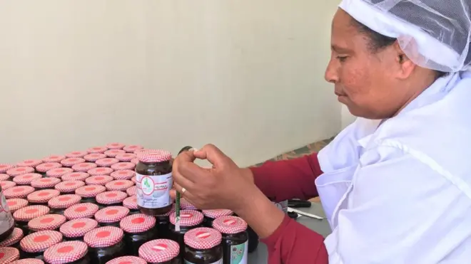 ጸጋ ምስ ጽማቝ በለስ