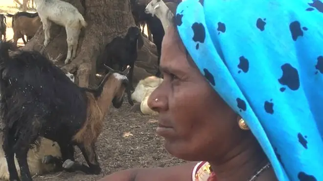 અહીંના લોકો ખેતી અને પશુપાલન સાથે જોડાયેલા છે, પાણની અછતા તેમના વ્યવસાયને પણ પ્રભાવિત કરે છે.