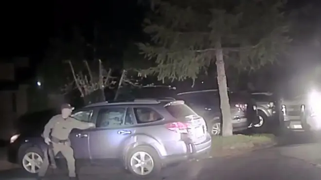 Šerif oslobađa medveda