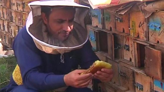 أكثر ما يشتهر به اليمن هو العسل وبالخصوص عسل شجرة السدر. ولكن منتجي العسل يشكون انخفاض الانتاج وصعوبة التصدير بسبب الحرب الدائرة والمستمرة منذ 3 سنوات