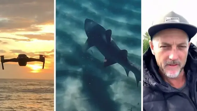 Pogled na ajkule iz vazduha