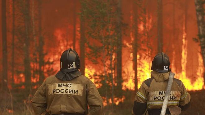 Сотрудники МЧС на фоне лесного пожара
