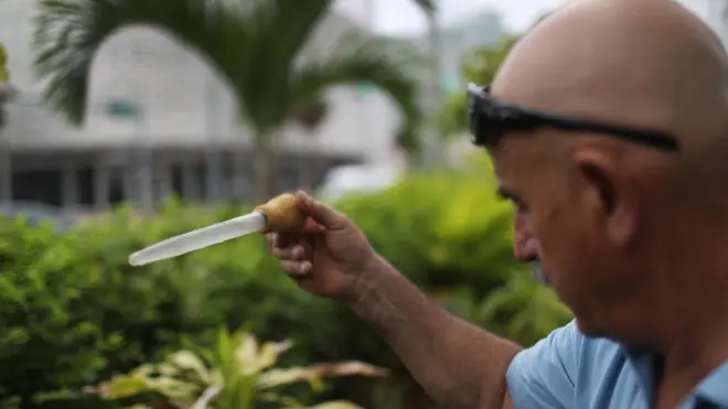 пробирка с москитом