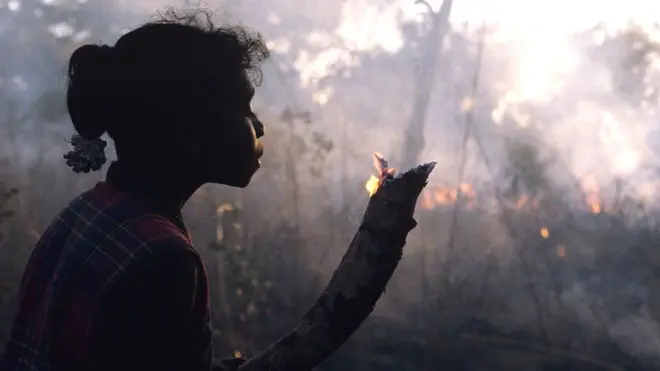 አቦርጂናሎች የአውስትራሊያ ጫካ እንዲቃጠል የሚፈልጉት ለምን ይሆን?