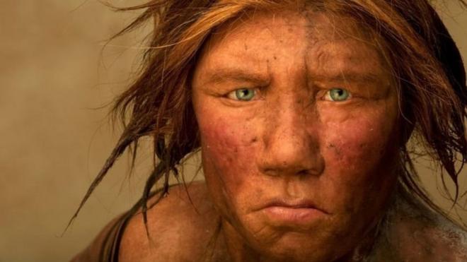 Rekonstruksi perempuan Neandertal.