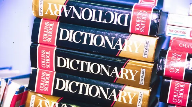 If binge-watch continues to be used it could be included in the next print edition of the Collins English Dictionary