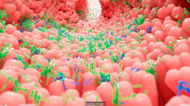 प्रोबायोटिक खाना