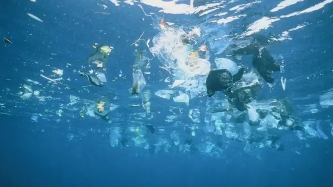 دستاویزی فلم میں زمین سے سمندر میں جانے والے کچرے کو موضوع بنایا گیا ہے