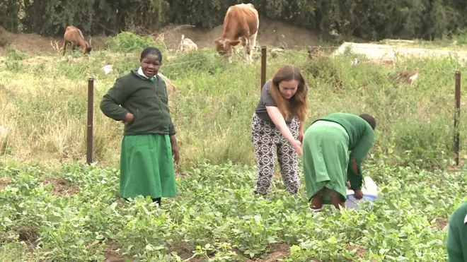 Dans le monde, on compte plus d'un million 600 000 voyageurs bénévoles. Beaucoup se rendent en Afrique.