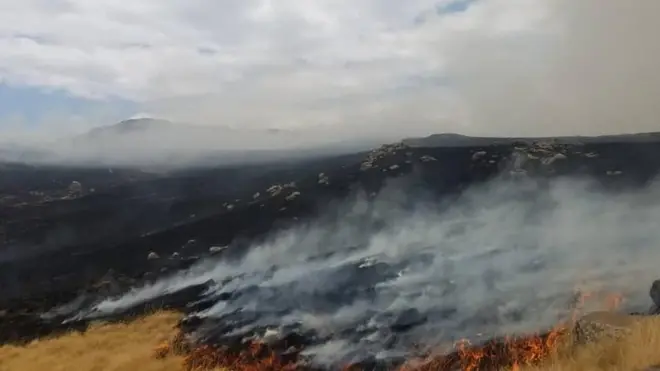 ሳር በእሳት ሲቃጠል