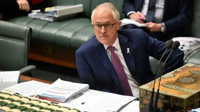 Австралійський уряд на чолі з Малкольмом Тернбуллом доручив провести перевірку через витік секретних документів