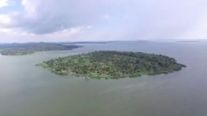 Озеро Вікторія гине - науковці