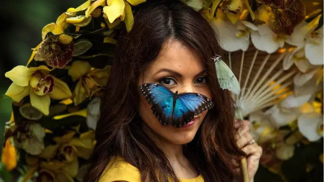 Блакитний метелик морфо відпочиває на обличчі моделі Джессі Бейкер у Королівському саді Віслей, Суррей