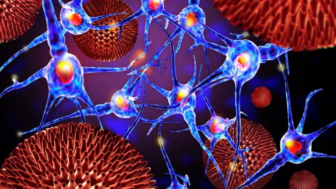 El sida anula al sistema inmunitario, por lo que quien lo sufre, queda expuesto a cualquier enfermedad.