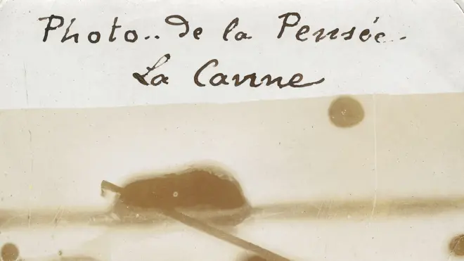 ¿Un bastón que camina¡