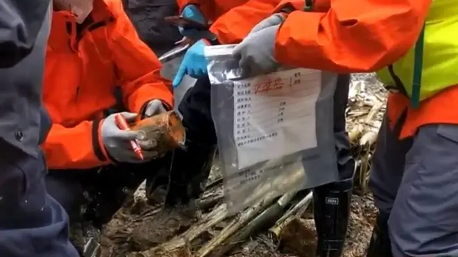 中国东航坠毁客机的一个“黑匣子”于3月23日被发现