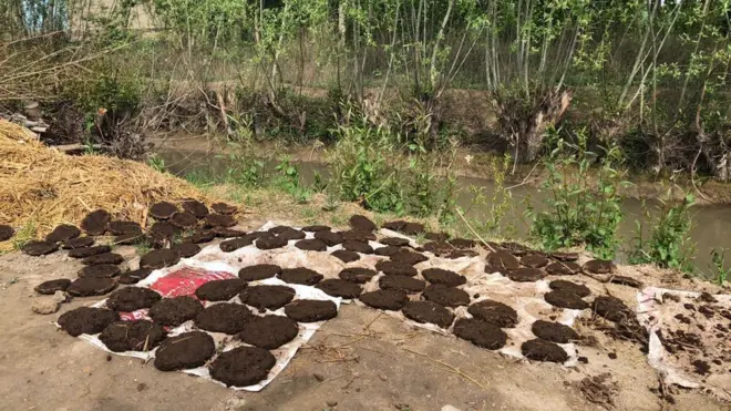 Таппидан Ўзбекистон қишлоқларида кенг фойдаланилади