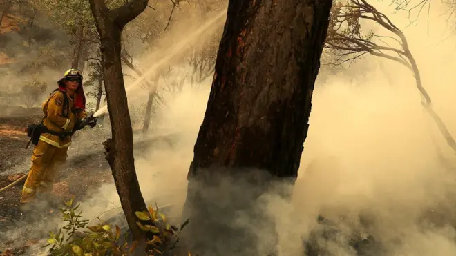 A firefighter tries to put out the flames in California