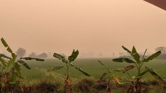 สภาพท้องฟ้าสีส้มยามเช้าวันที่ค่าดัชนีอากาศขึ้นสูงเป็นอันดับหนึ่งของโลกที่พื้นที่ อ.แม่แตง จ.เชียงใหม่