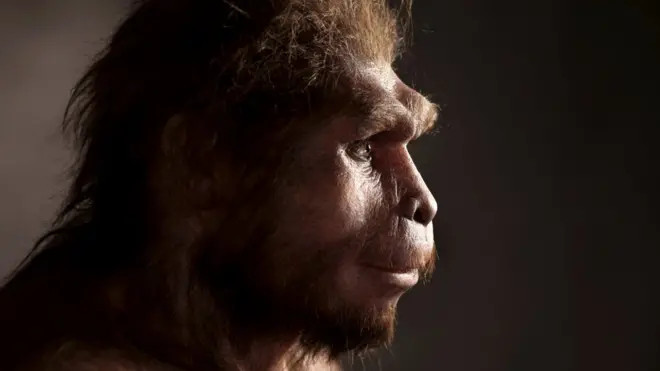 Rekonstruksi rupa Homo erectus, spesies manusia yang dapat berjalan tegak.