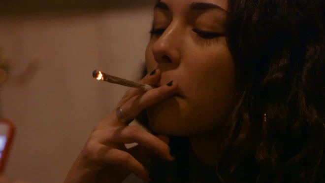 الحشيش المغربي شائع استخدامه في كافيهات أمستردام