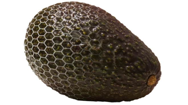 Así es la piel orgánica que protege a los aguacates, aunque es invisible al ojo humano.