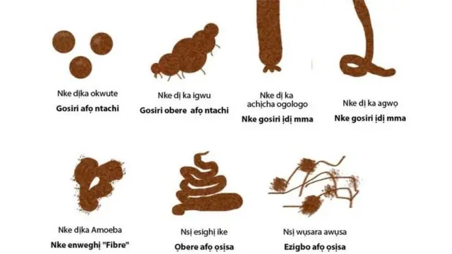 Ụdịrị nsị dị iche iche