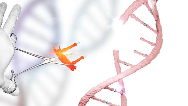 Ilustración de una tijera que recorta una secuencia de ADN