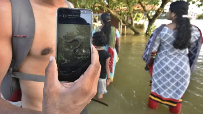 کیرالہ میں سیلاب سے متاثرہ شہری سیلابی پانی میں سانپ کی موجودگی کی تصویر دکھا رہا ہے