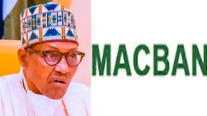 Buhari, a fẹ́ kí o dẹ́kun àwọn gómìnà tó ń ṣe òfin tako fífi ẹran jẹko láàrín ìgboro - Miyetti Allah