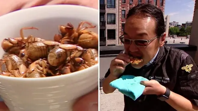 झ्याउँकीरी