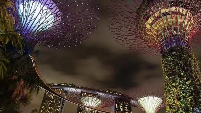 Сверхдеревья в Сингапуре