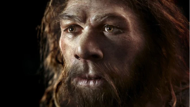หุ่นจำลองใบหน้าของมนุษย์โบราณนีแอนเดอร์ทัล