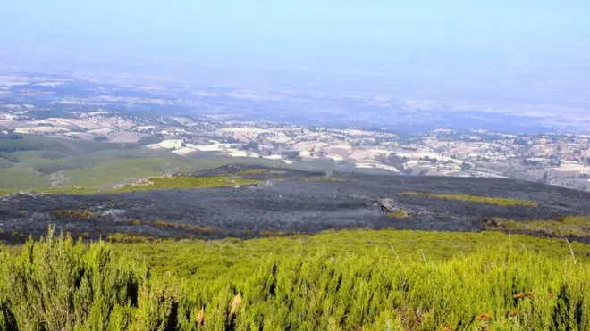 Balaa waggaa lama dura paarkichatti dhaqqabeen lafti hektaara 300'tti siqu gubachuun gabaafamee ture (suuraa bara 2019)